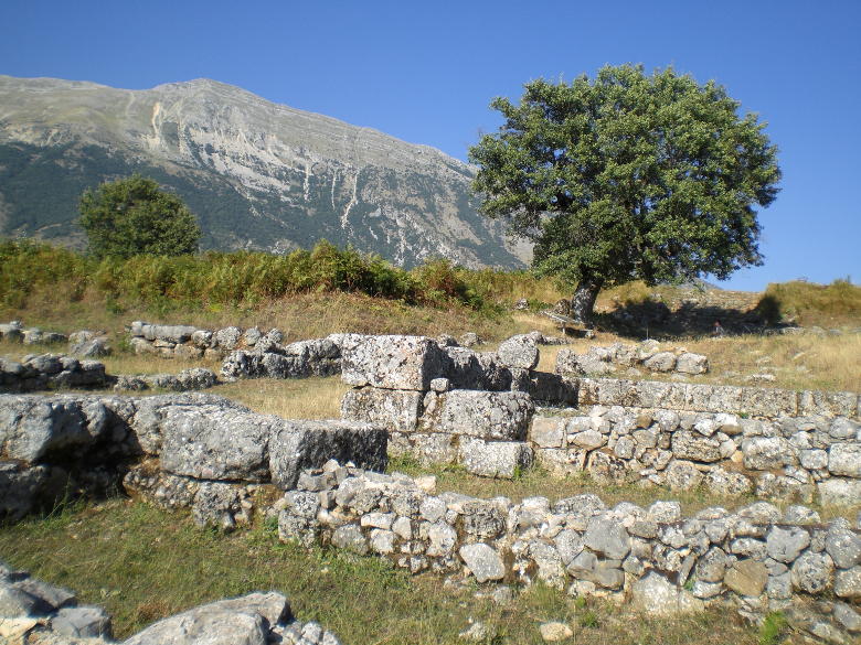 Antigonea, Albania